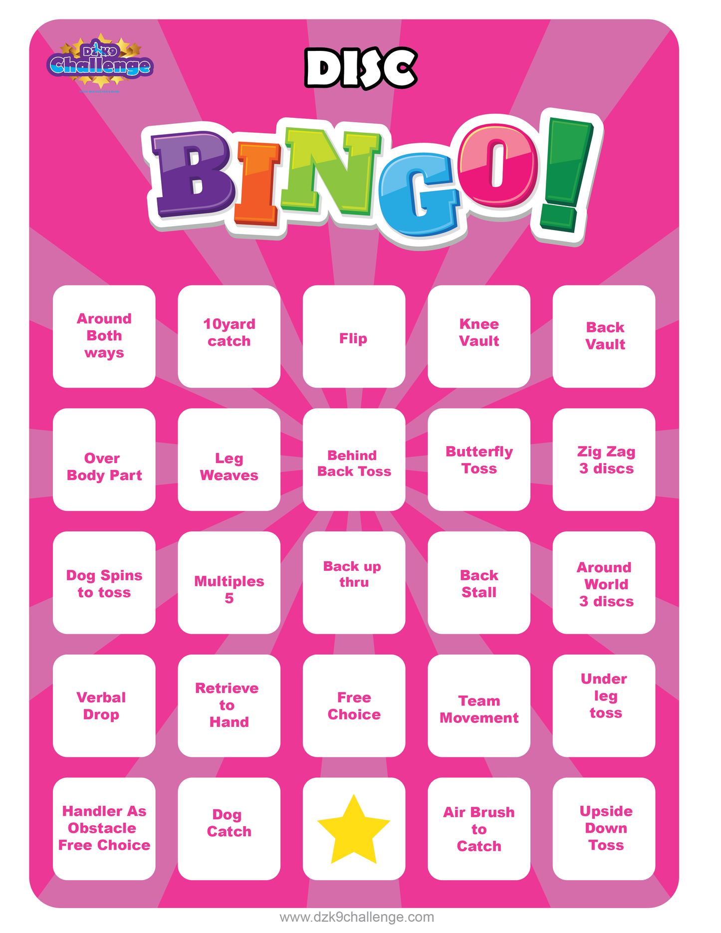 DZK9 CHALLENGE - BINGO!