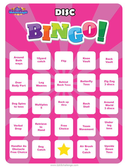 DZK9 CHALLENGE - BINGO!