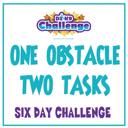 DZK9 CHALLENGE - MINI GAMES