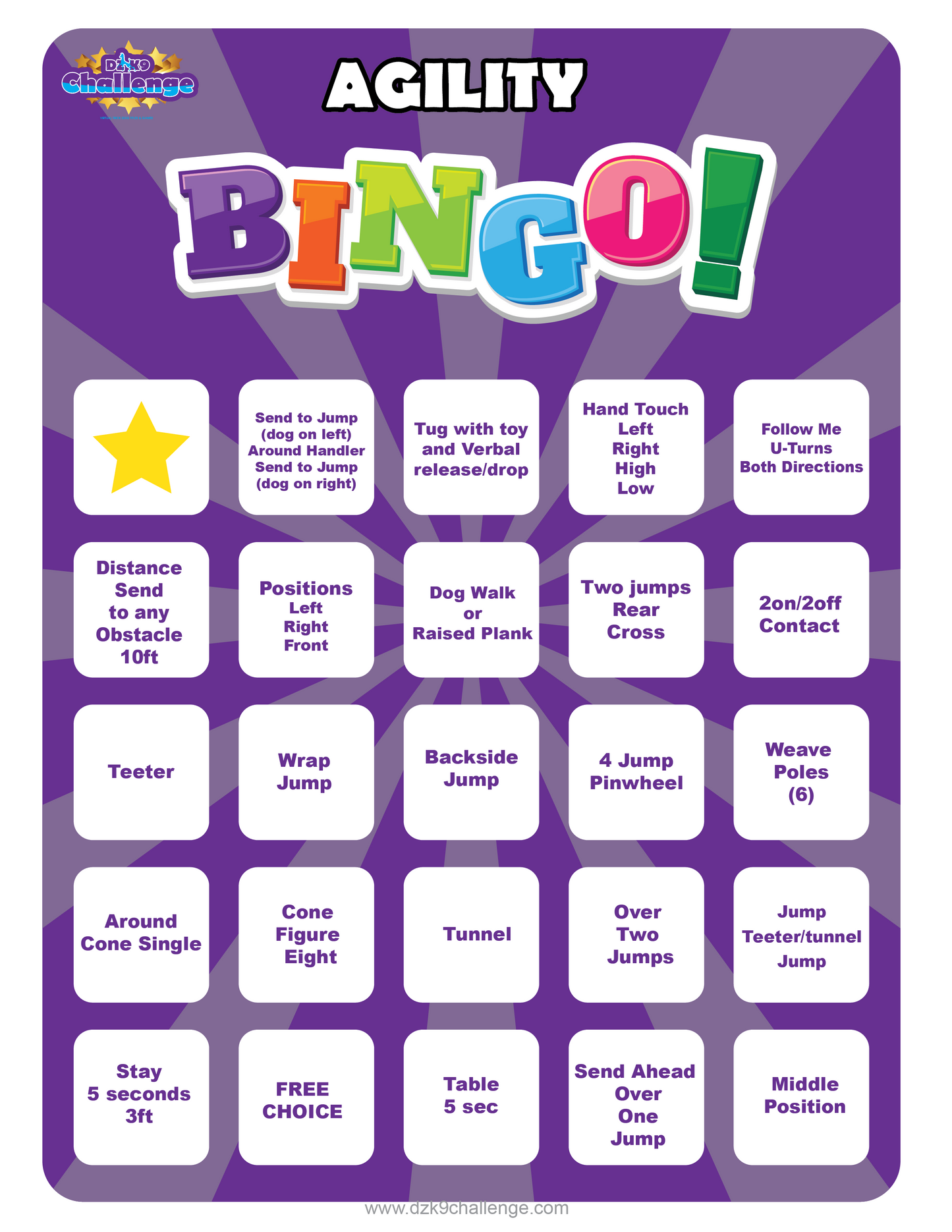 DZK9 CHALLENGE - BINGO!