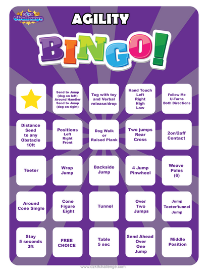 DZK9 CHALLENGE - BINGO!