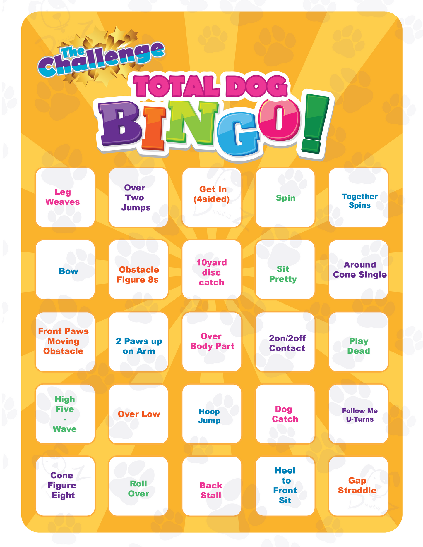 DZK9 CHALLENGE - BINGO!