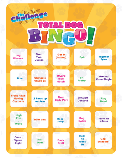 DZK9 CHALLENGE - BINGO!