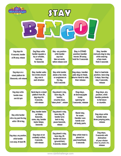 DZK9 CHALLENGE - BINGO!