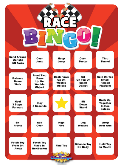 DZK9 CHALLENGE - BINGO!