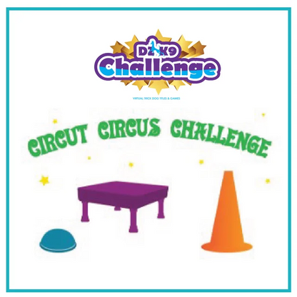 DZK9 CHALLENGE - MINI GAMES