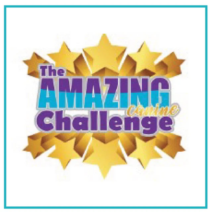 DZK9 CHALLENGE - MINI GAMES