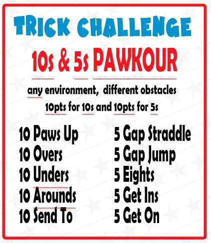 DZK9 CHALLENGE - MINI GAMES