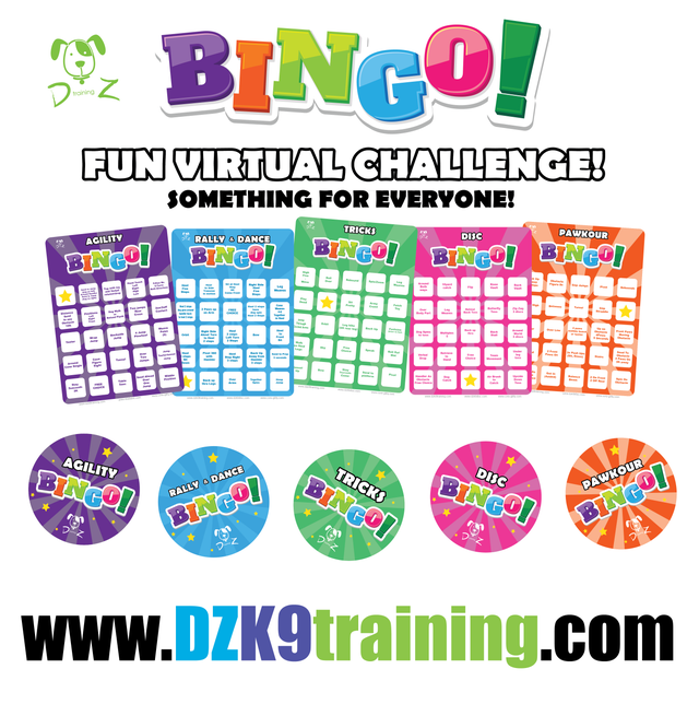 DZK9 CHALLENGE - BINGO!
