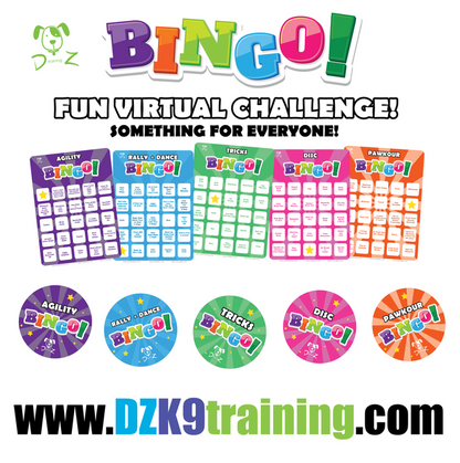 DZK9 CHALLENGE - BINGO!