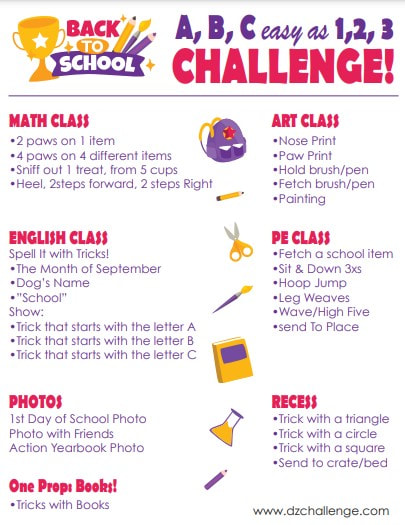 DZK9 CHALLENGE - MINI GAMES