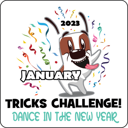 DZK9 CHALLENGE - MINI GAMES