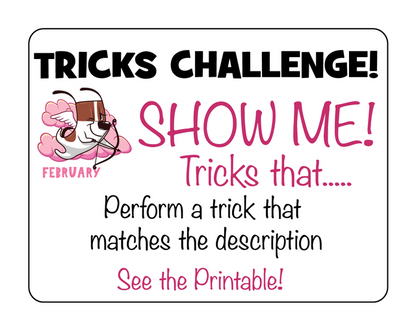 DZK9 CHALLENGE - MINI GAMES