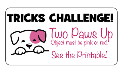 DZK9 CHALLENGE - MINI GAMES