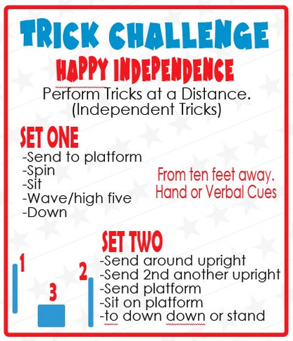 DZK9 CHALLENGE - MINI GAMES
