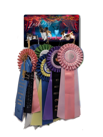 CUSTOM RIBBON AWARD HOLDER MDF