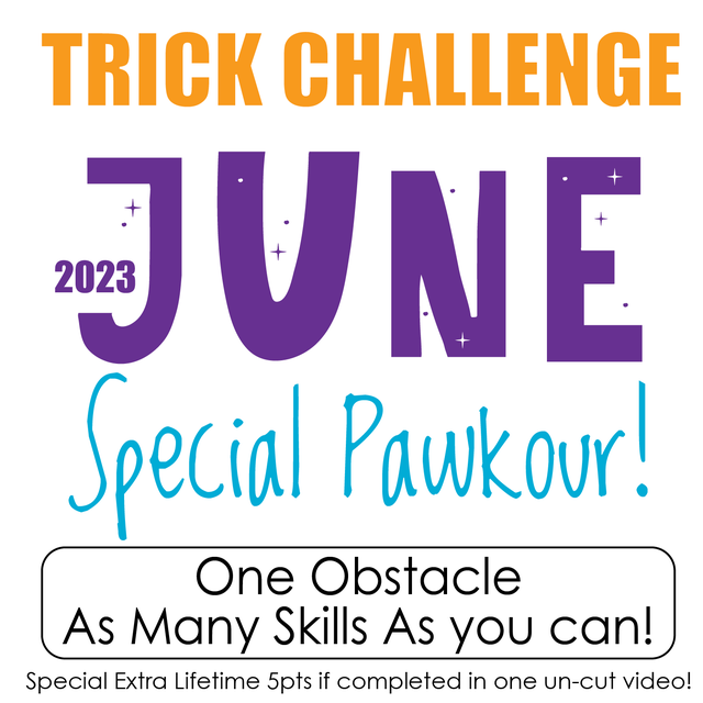 DZK9 CHALLENGE - MINI GAMES