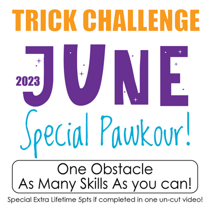 DZK9 CHALLENGE - MINI GAMES