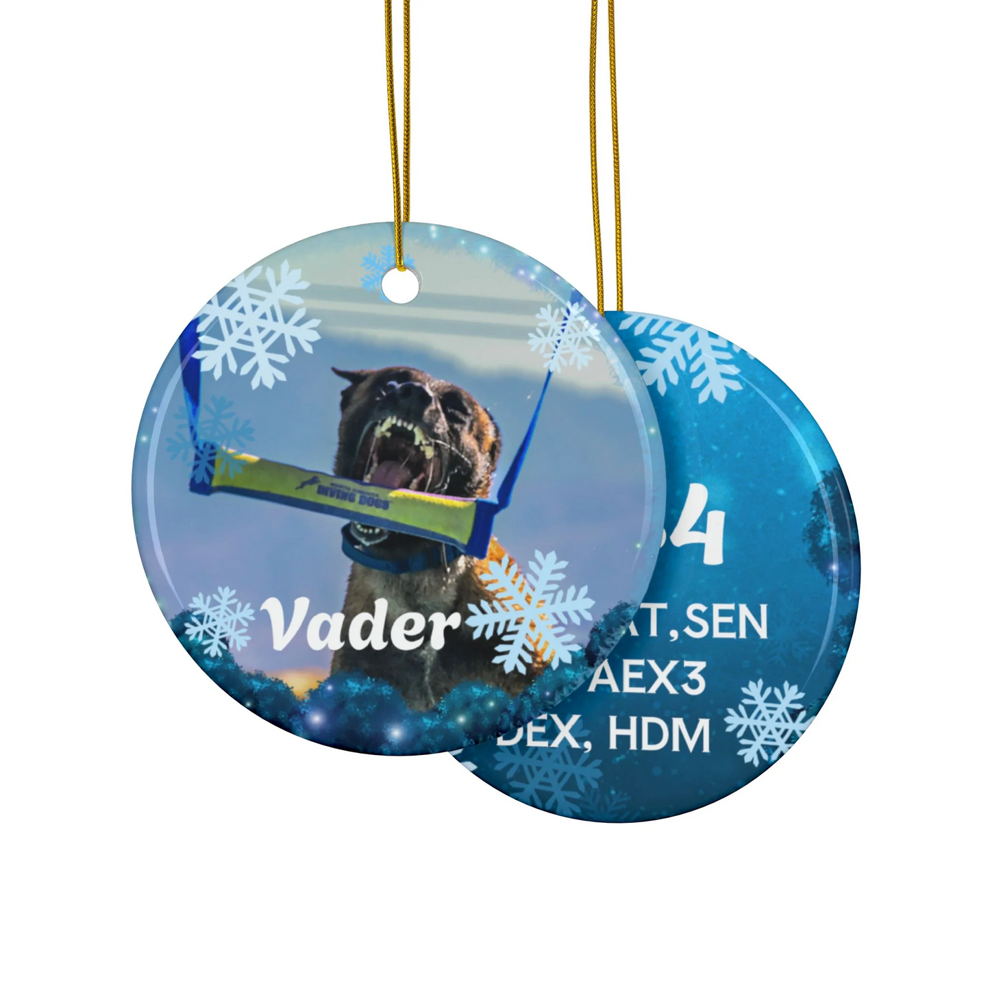 CUSTOM CIRCLE ORNAMENT