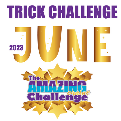 DZK9 CHALLENGE - MINI GAMES