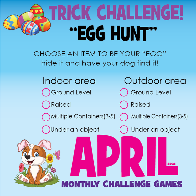 DZK9 CHALLENGE - MINI GAMES