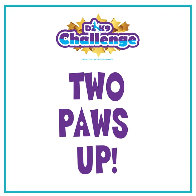 DZK9 CHALLENGE - MINI GAMES