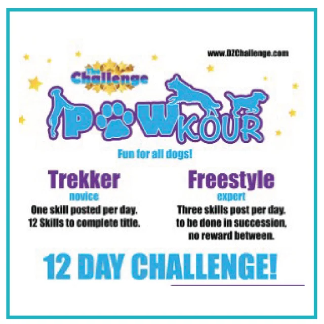 DZK9 CHALLENGE - MINI GAMES