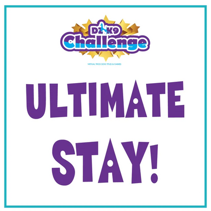 DZK9 CHALLENGE - MINI GAMES