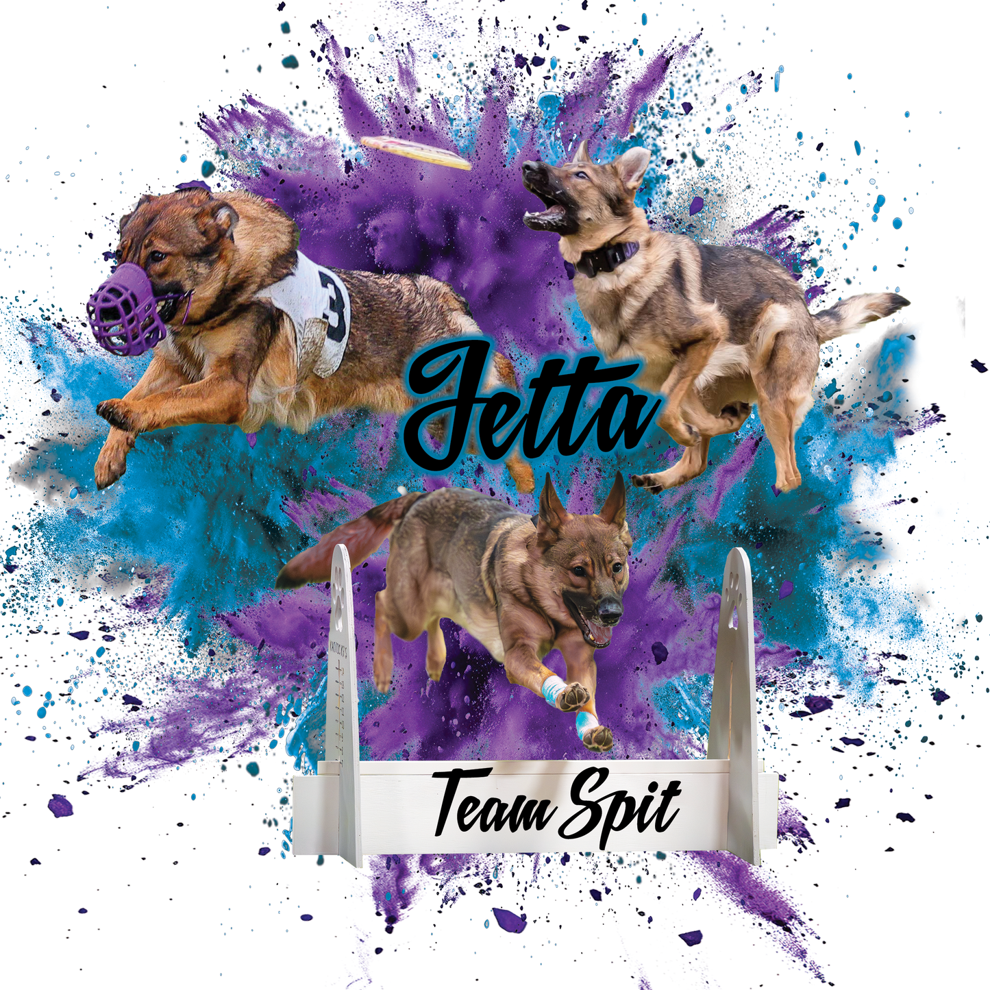 JETTA-  T-Shirts & More!