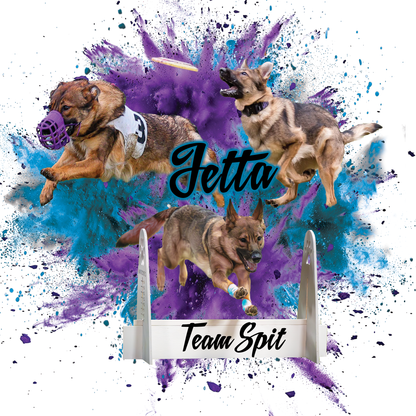 JETTA-  T-Shirts & More!