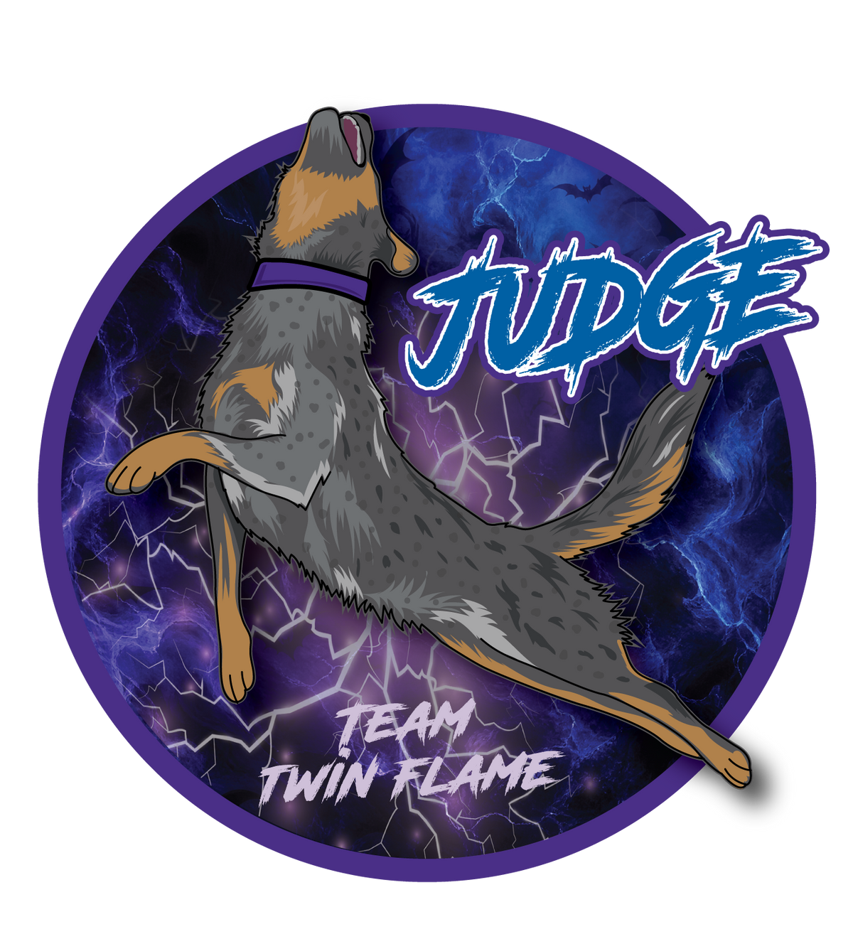 T-Shirts & More! JUDGE