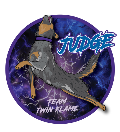 T-Shirts & More! JUDGE