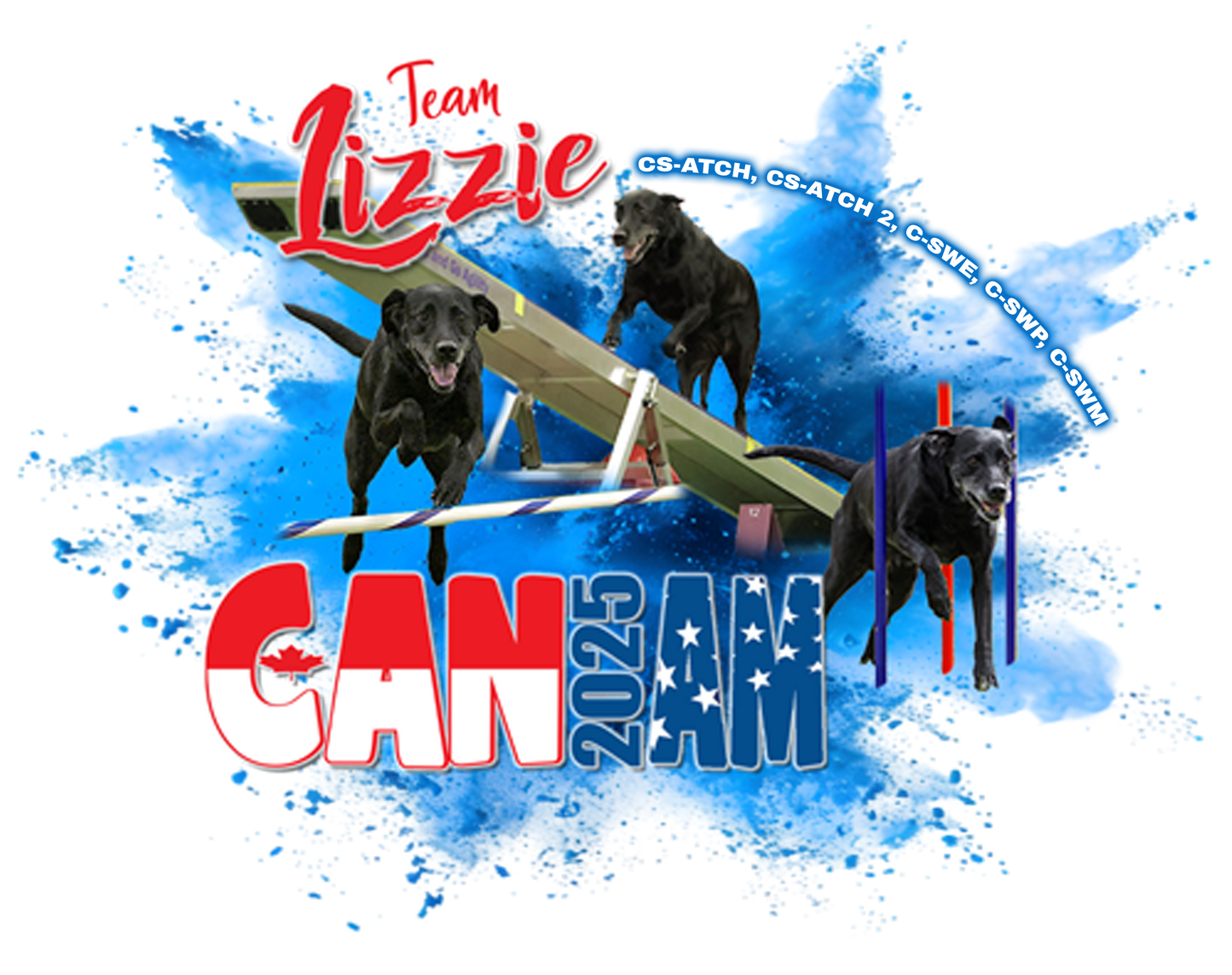 STICKERS: LIZZIE CAN AM