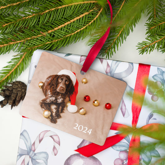 CUSTOM SAMPLE Metal ornament  (Rectangle, Scalloped, Pet Paw, and Tag)