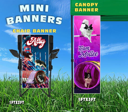 *CUSTOM MINI BANNER