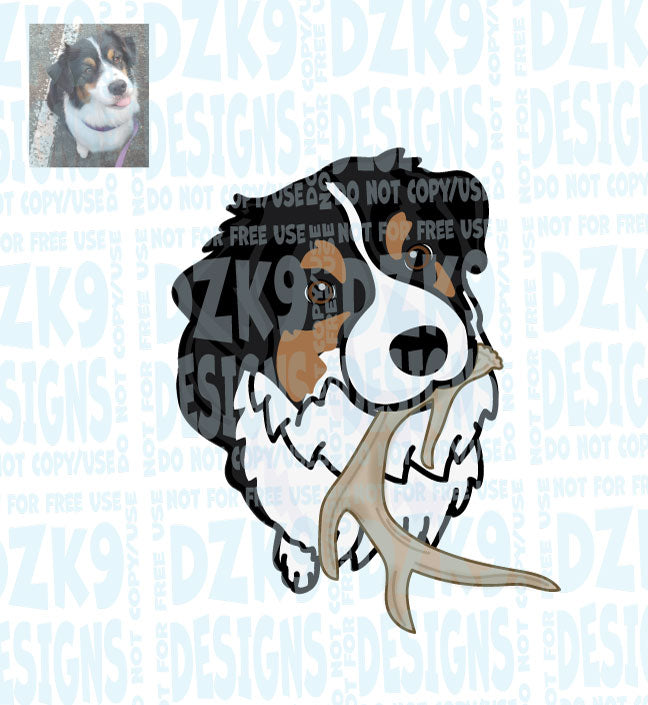 NASDA BREEDS COLLECTION