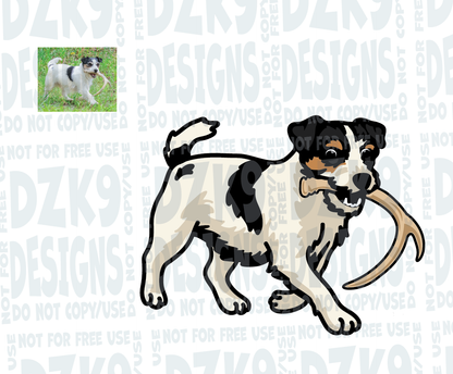 NASDA BREEDS COLLECTION