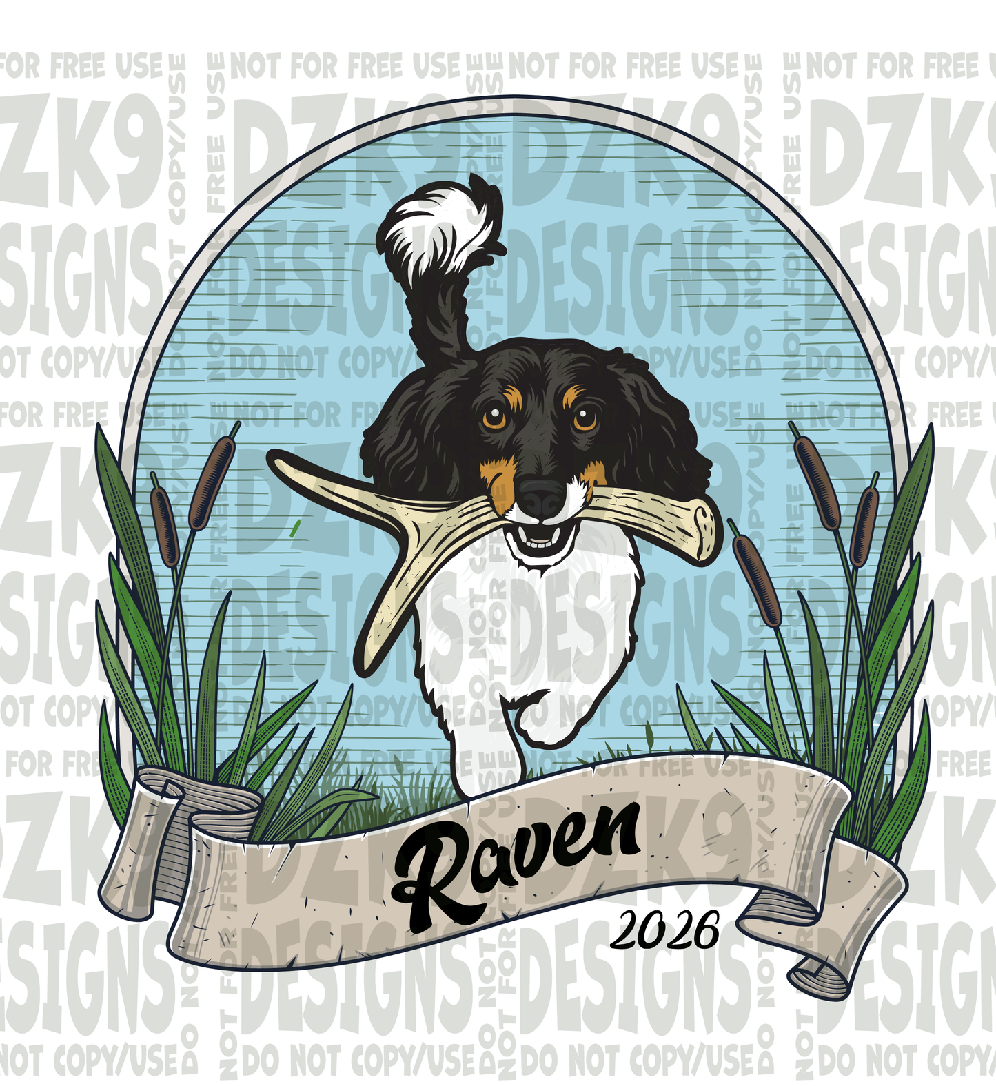 Raven - Custom NASDA