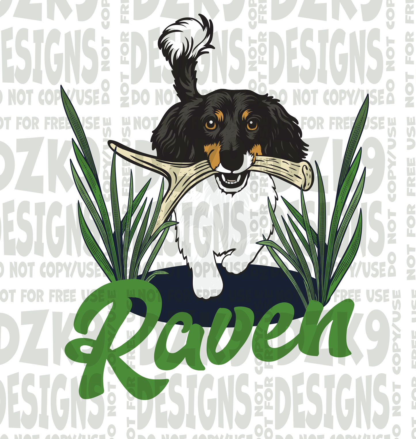 Raven - Custom NASDA