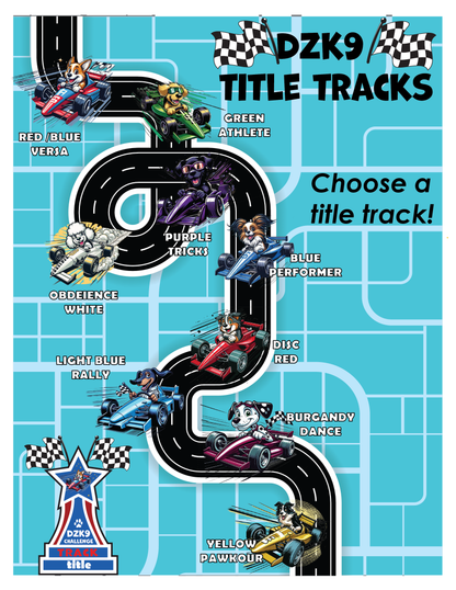 DZK9 VIRTUAL TITLES - PERFORMER