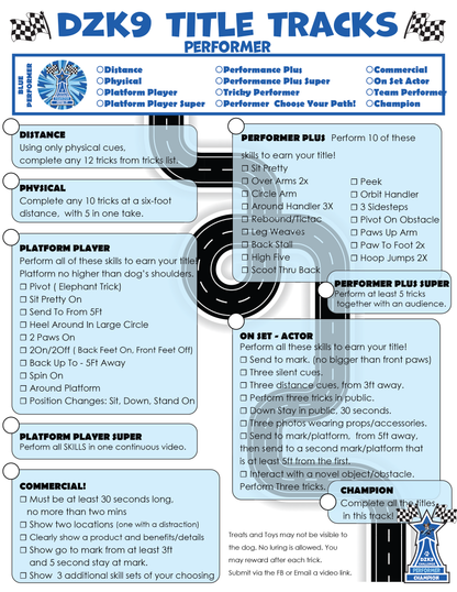 DZK9 VIRTUAL TITLES - PERFORMER