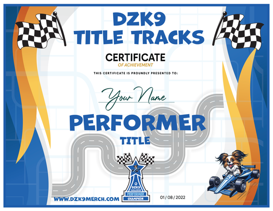 DZK9 VIRTUAL TITLES - PERFORMER