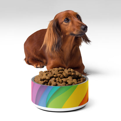 Rainbow Pet bowl