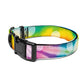 Tie Dye Pet collar