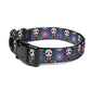 Muertos Pattern Pet collar