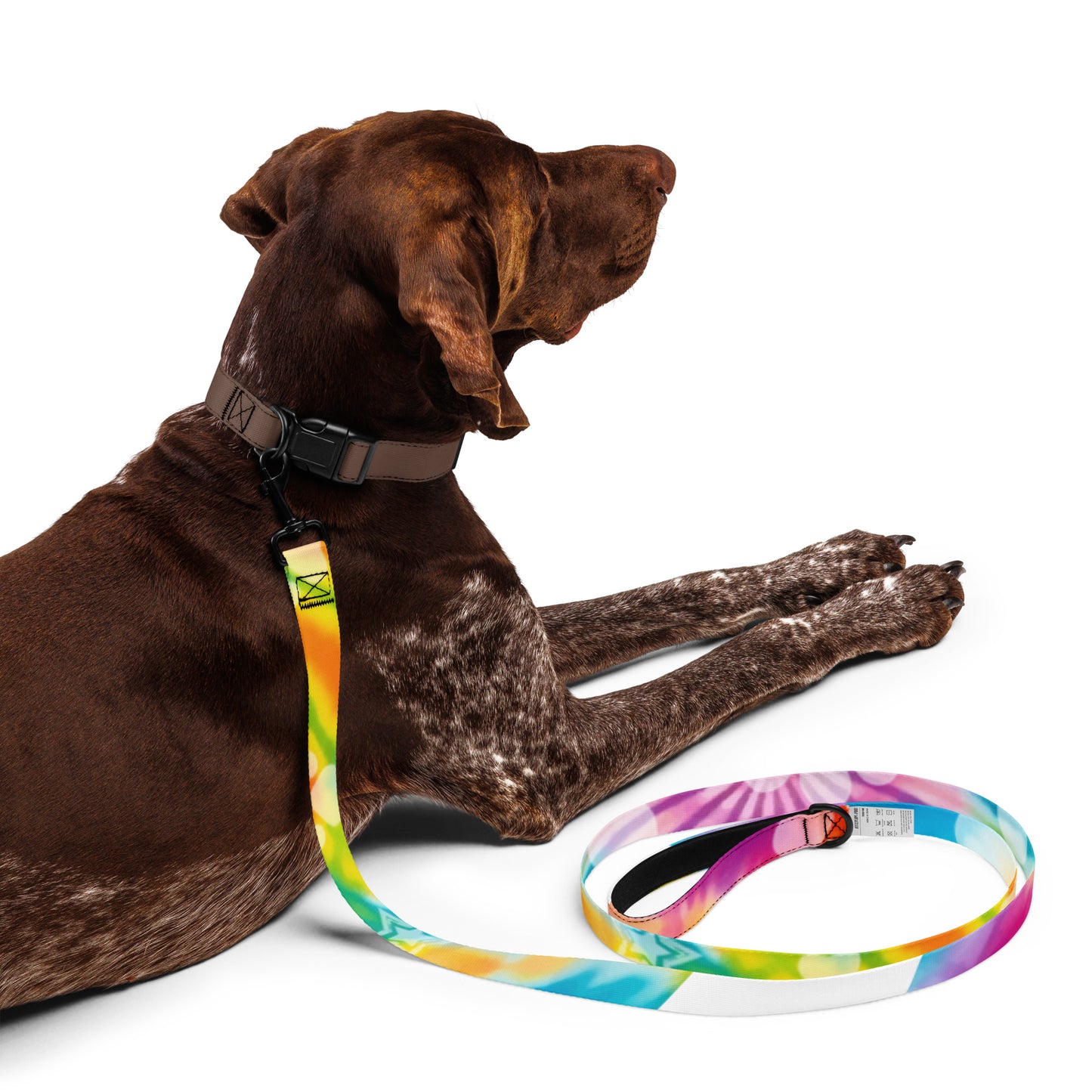 Tie Dye Pet leash