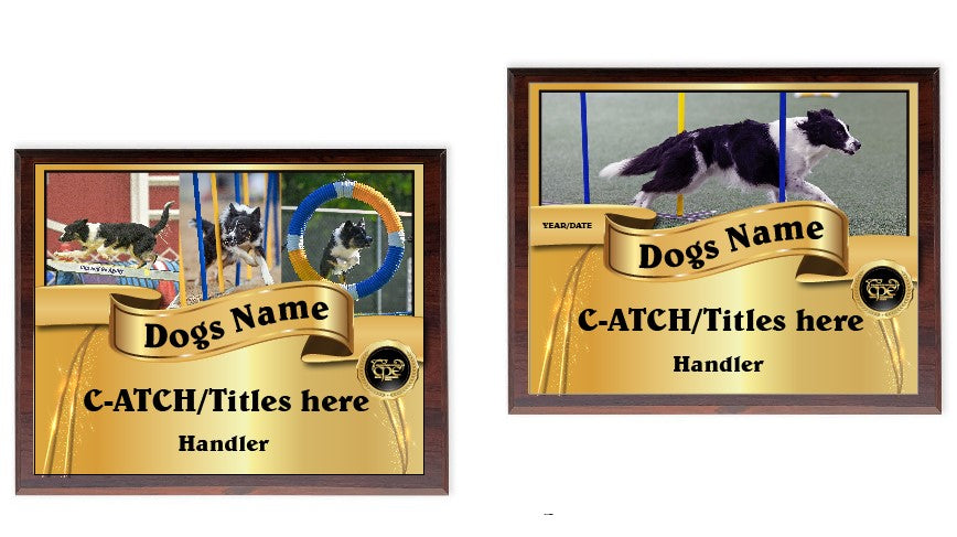 CPE CUSTOM AWARD PLAQUES