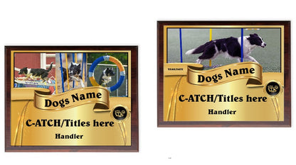 CPE CUSTOM AWARD PLAQUES