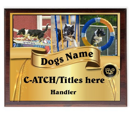 CPE CUSTOM AWARD PLAQUES