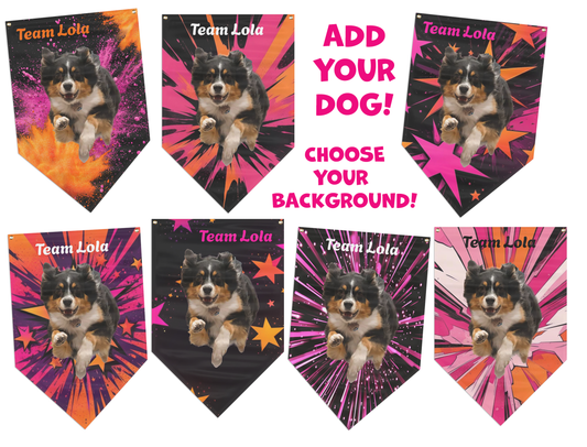 CHOOSE BACKGROUND! CUSTOM PINK ORANGE  BANNER  - updog special